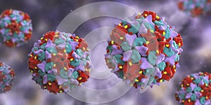 Poliovirus, an RNA virus from Picornaviridae family that causes polio disease