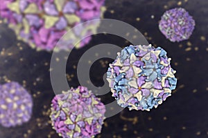 Poliovirus, an RNA virus from Picornaviridae family that causes polio disease