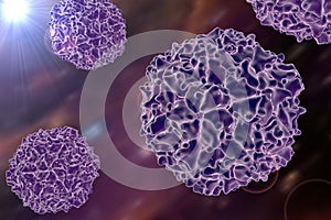 Poliovirus, a virus transmitted by drinking water and causing polio