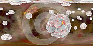 Polioviruses, 360 degree spherical panorama view