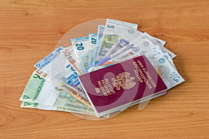 Polish biometric passport and Belarusian and British Currency and EURO