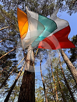 Polish, Catholic, and Vatican Flags in Parish of the Descent of the Holy Spirit in Otwock