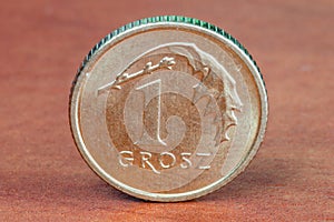 Polish coin 1 grosz