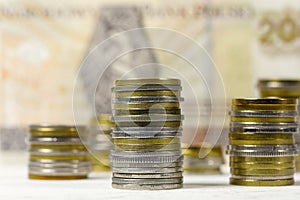 Polish coins and banknotes, PLN money