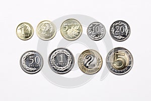 Polish coins on a white background