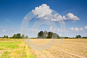 Polish countryside landscape
