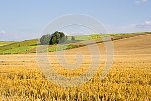 Polish countryside landscape