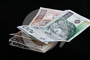 Polish currency