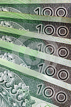 Polish currency banknotes, paper money background. Polish zloty, currency closeup. PLN 100