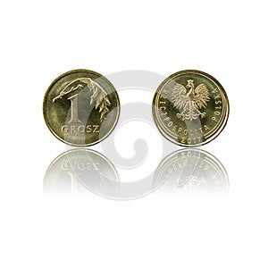 Polish currency 1gr coin isolated on white background with reflection