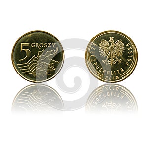 Polish currency 5gr coin isolated on white background with reflection