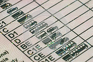 Polish driving license