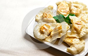 Polish dumplings