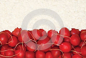 Polish flag made of food