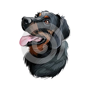 Polish Hunting dog portrait isolated on white. Digital art illustration of hand drawn dog for web, t-shirt print and puppy food