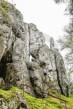 Polish Jurassic rocks on a hill in jura krakowsko czestochowska castle Birow