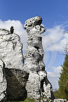 Polish Jurassic rocks on a hill in Jura krakowsko czestochowska Ogrodzieniec