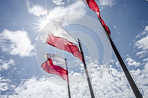 Polish national flags in the wind