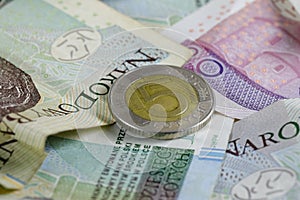 Polish paper money and one coin, PLN