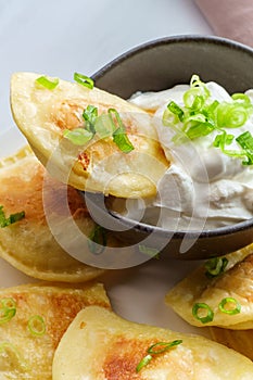 Polish Pierogies Sour Cream