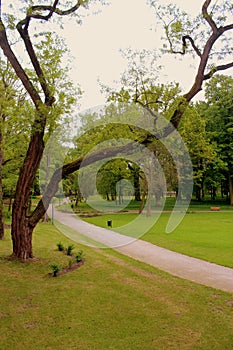 Polish spring landscape.