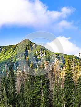 Polish Tatra mountains summer landscape with blue sky and white clouds.