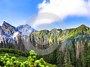 Polish Tatra mountains summer landscape with blue sky and white clouds.