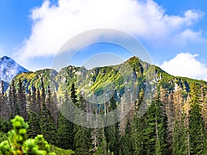 Polish Tatra mountains summer landscape with blue sky and white clouds.