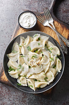 Polish Uszka are small dumplings filled with wild forest mushrooms and cabbage closeup on the plate. Vertical top view