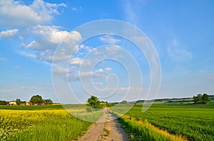 Polish village Landscape