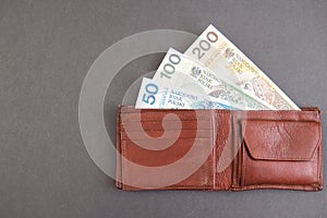 Polish wallet