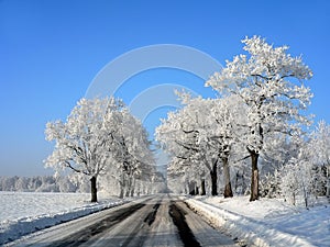 Polish winter landscape