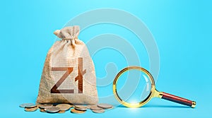 Polish zloty money bag and magnifying glass. Origin of capital funds. Revising the budget to save money. Financial audit control