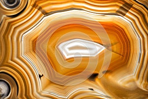 A polished Agate of brown tones photo