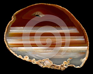 Polished Agate Slice on Black Background