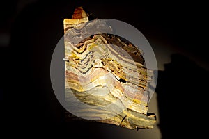 Polished Corss Section of a Stromatolite photo