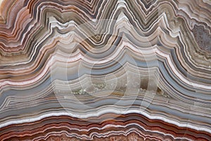 The polished cut of agate photo