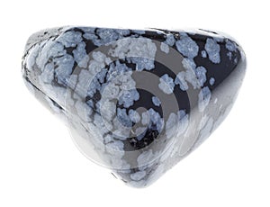 polished gray snowflake obsidian gemstone on white