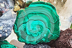 Polished green malachite with cracks. Minerals collection