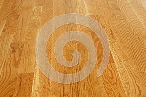Polished Hardwood Floor