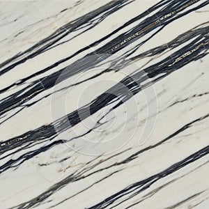 Polished marble surface with a diagonal pattern of black and white veining