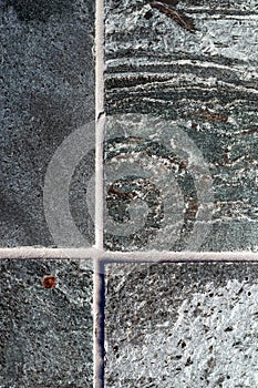 Polished quartzite tile flooring