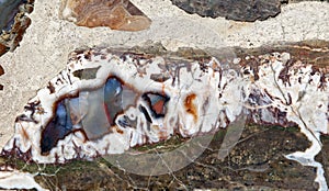 Polished Rock Slice of Jasper & Opal
