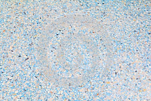 Polished stone floor old texture or rock marble and Blue cement background with copy space add text