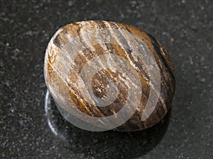 polished stromatolite gemstone on dark background photo