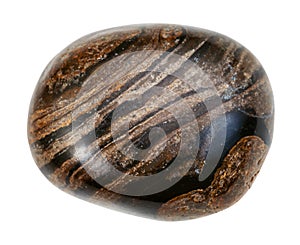 polished stromatolite gemstone from Peru isolated