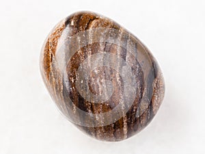 polished stromatolite gemstone on white