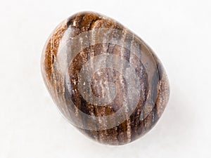 polished stromatolite gemstone on white photo