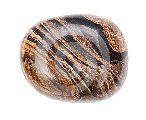 polished Stromatolite rock isolated on white photo