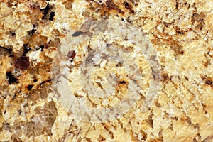 The polished surface of the yellow granite, called Giallo Veneziano
